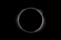Corona