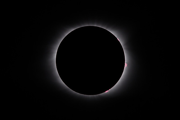 Corona