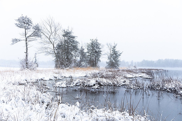 Snowy Lake