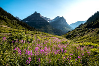 Glacier