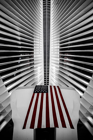 The Oculus