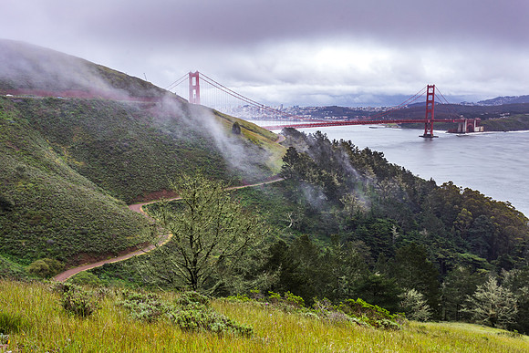 Foggy Golden Gate