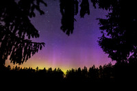 Aurora Window
