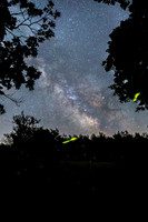 Fireflies and Milky Way