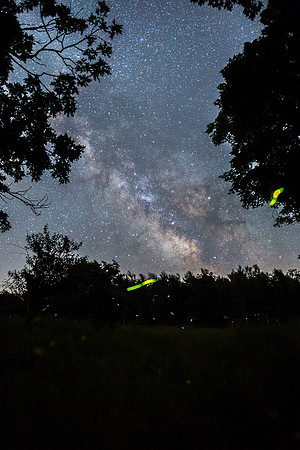 Fireflies and Milky Way