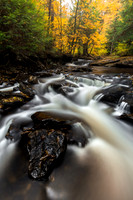 Ricketts Glen River