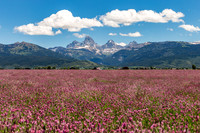 Idaho Tetons