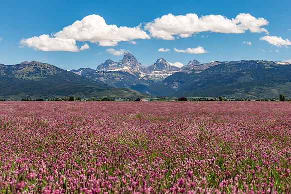 Idaho Tetons