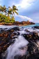 Beaches and Palms