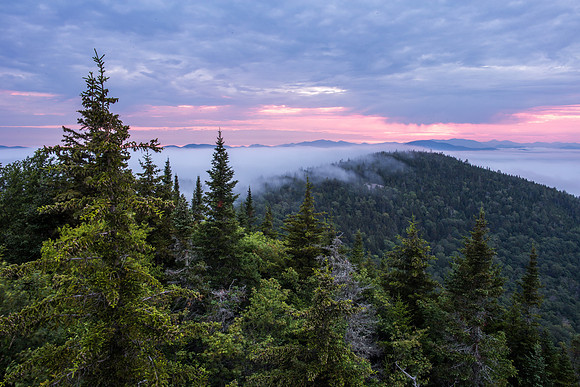 Fog Overflow