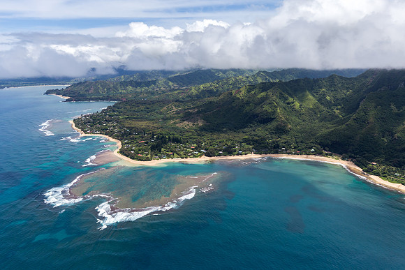 Kauai Coral Reef