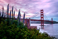 San Fran