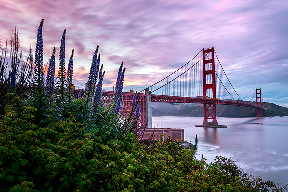 San Fran
