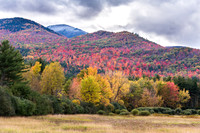 Adirondacks Changing