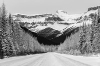 Banff Highways