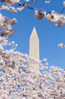 Washington Monument