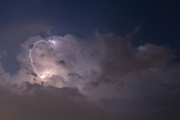 Horseshoe Bolt