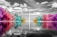 Gay DC