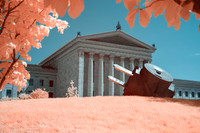 Art Museum