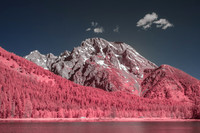 Teton