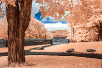 Park