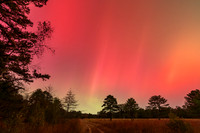 NJ Aurora